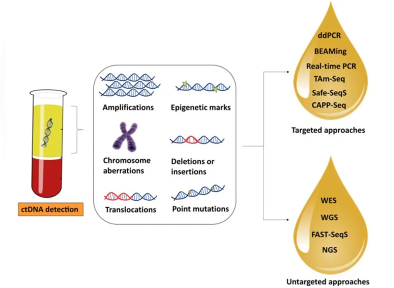 wechat_2025-09-05_090724_426